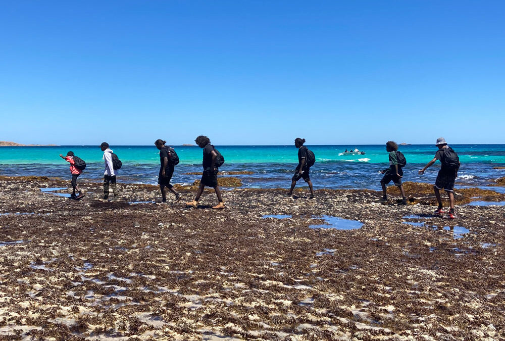 Cape to Cape Education – A brief History