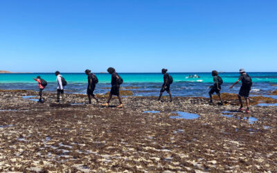 Cape to Cape Education – A brief History