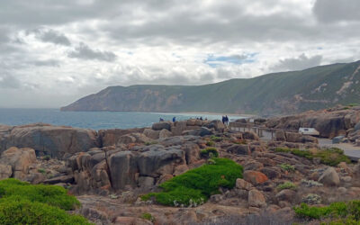 Cape to Cape Education Launches Albany Adventure and Culture Camp